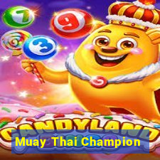 Muay Thai Champion