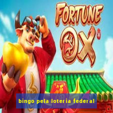 bingo pela loteria federal