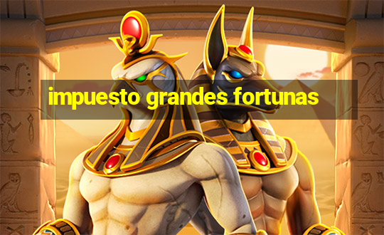 impuesto grandes fortunas