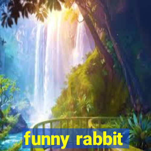 funny rabbit