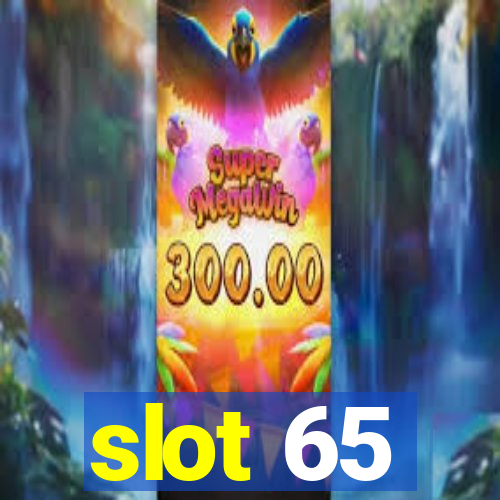 slot 65