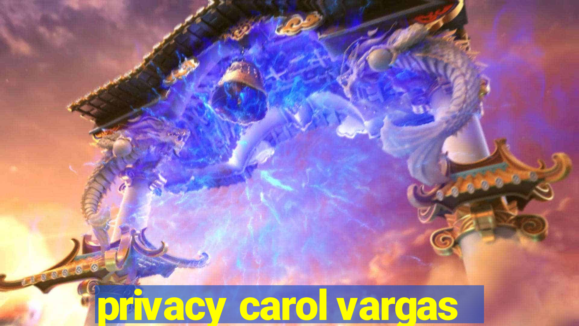 privacy carol vargas