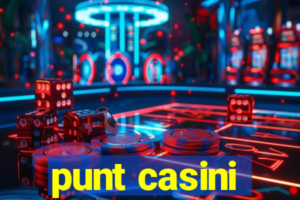 punt casini