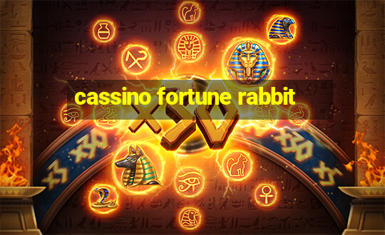 cassino fortune rabbit