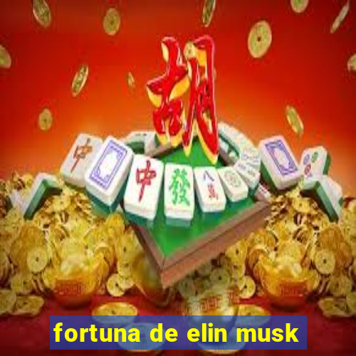 fortuna de elin musk