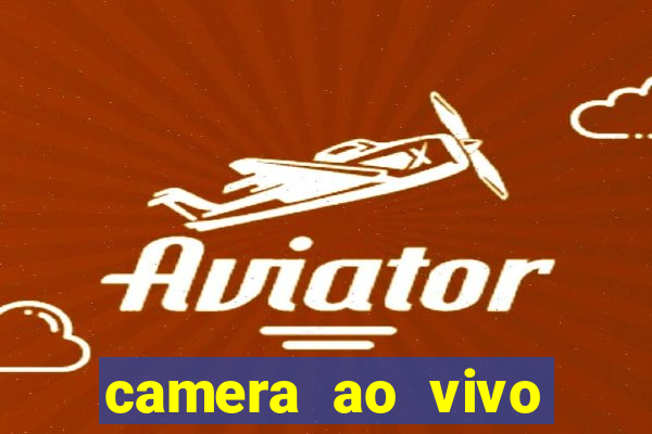 camera ao vivo terminal vila nova cachoeirinha