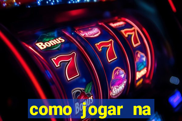 como jogar na lotinha do jogo do bicho