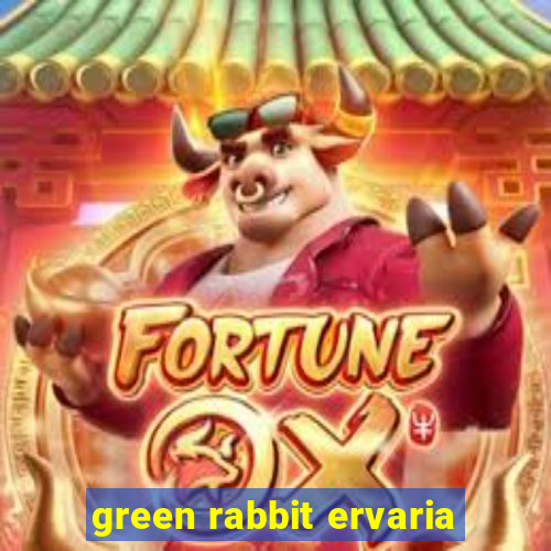 green rabbit ervaria