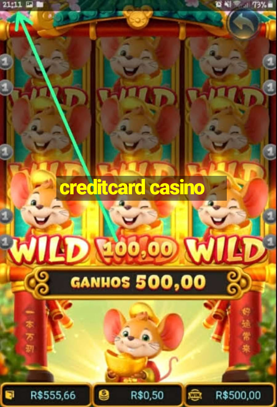 creditcard casino