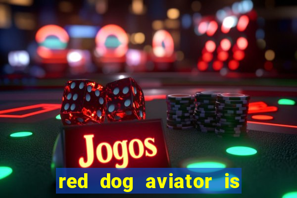 red dog aviator is real or fake