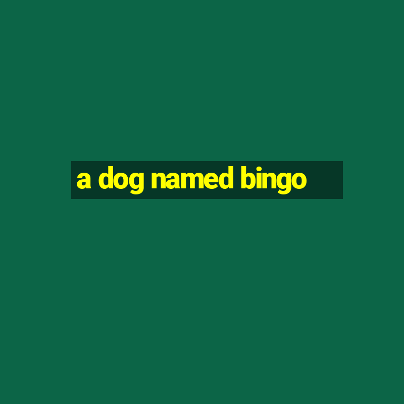 a dog named bingo