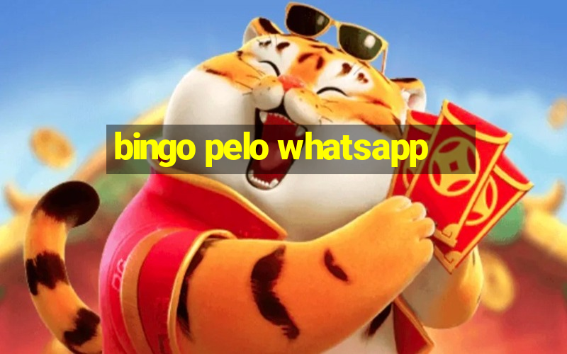 bingo pelo whatsapp