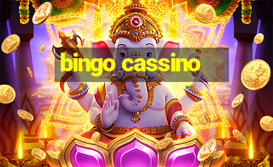 bingo cassino