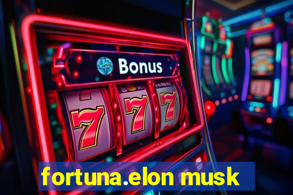 fortuna.elon musk