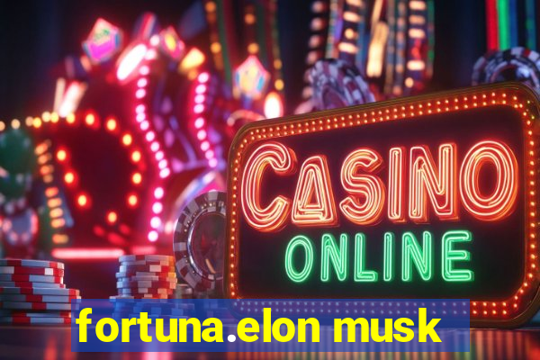 fortuna.elon musk