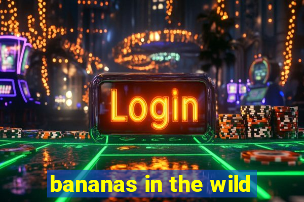 bananas in the wild