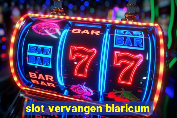 slot vervangen blaricum