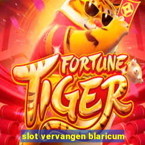 slot vervangen blaricum