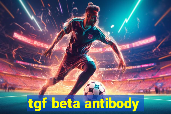 tgf beta antibody