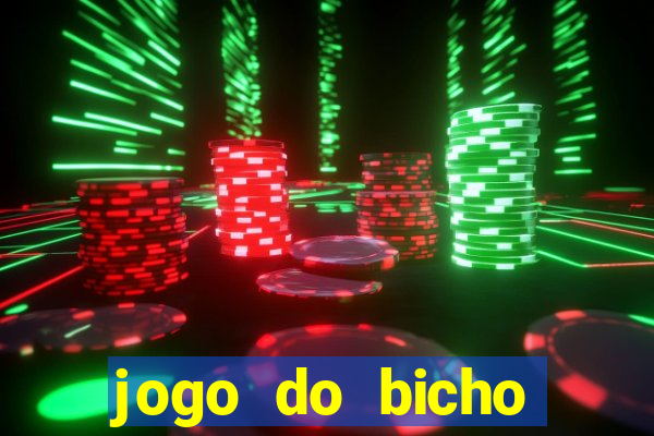 jogo do bicho crash mines