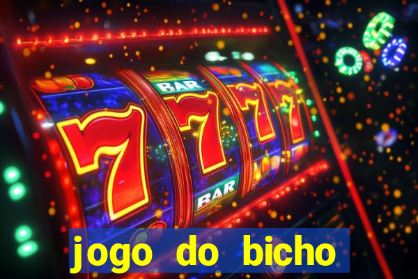 jogo do bicho crash bingo