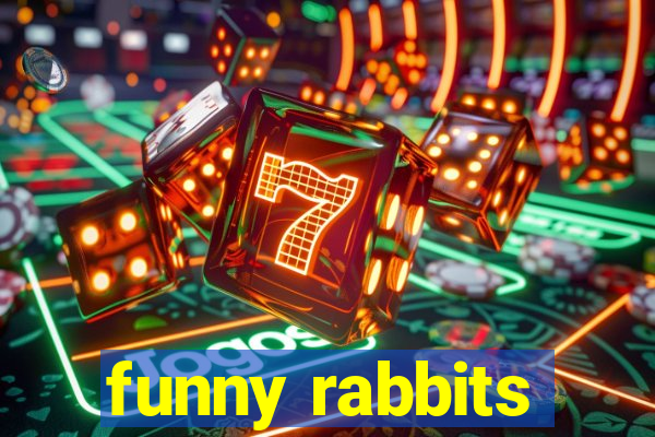 funny rabbits