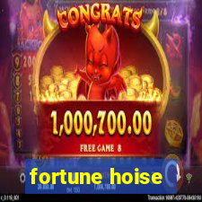 fortune hoise