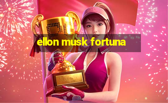 ellon musk fortuna