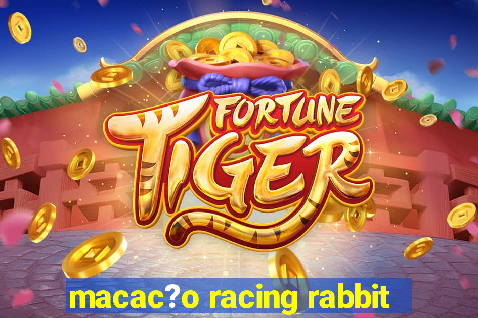 macac?o racing rabbit