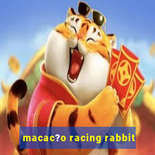 macac?o racing rabbit