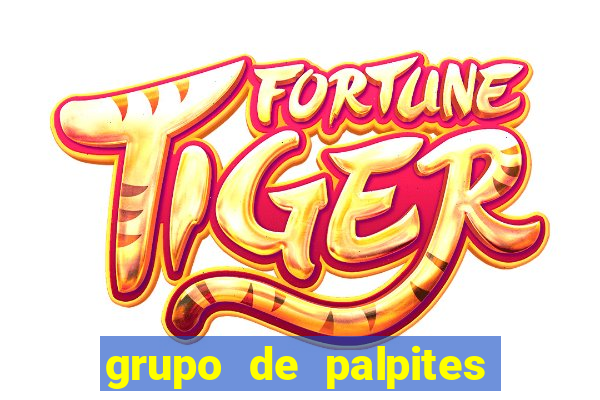 grupo de palpites de futebol whatsapp