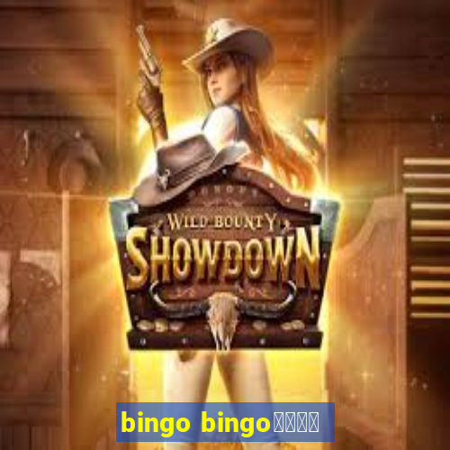 bingo bingo線上投注