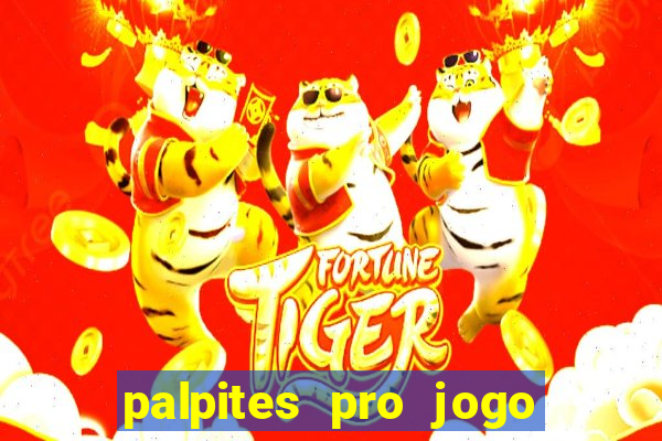 palpites pro jogo do flamengo