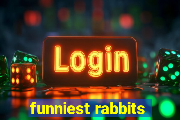 funniest rabbits