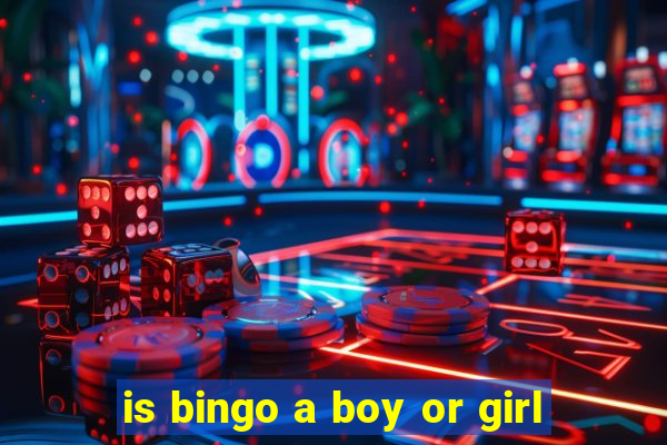 is bingo a boy or girl