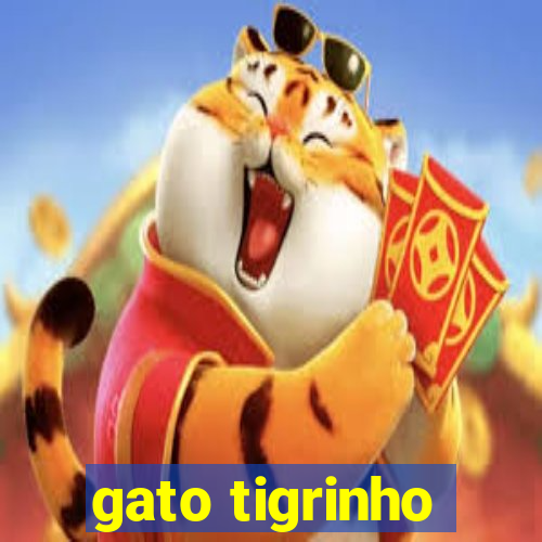 gato tigrinho