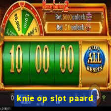 knie op slot paard