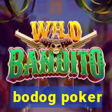 bodog poker