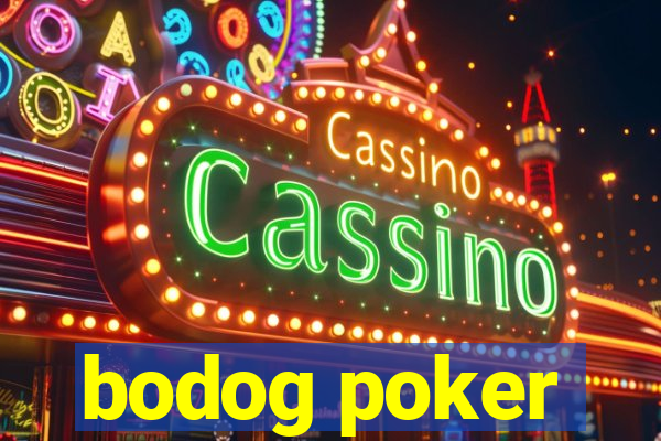 bodog poker