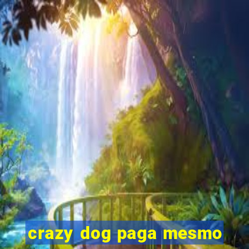 crazy dog paga mesmo