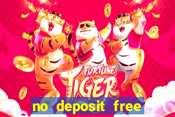 no deposit free bingo bonus