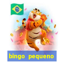 bingo pequeno cotolengo 2023