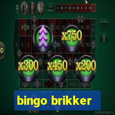 bingo brikker