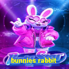 bunnies rabbit