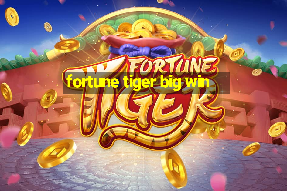 fortune tiger big win