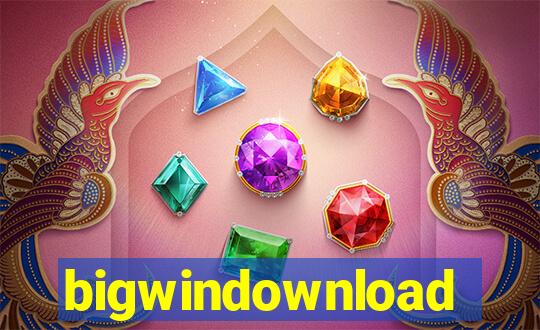 bigwindownload