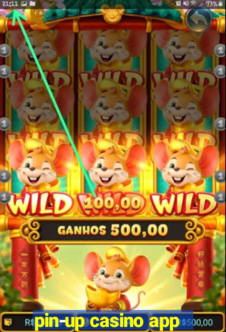 pin-up casino app