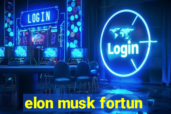 elon musk fortun