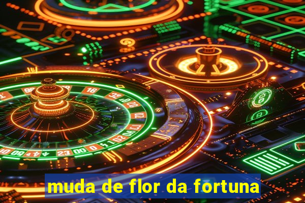 muda de flor da fortuna