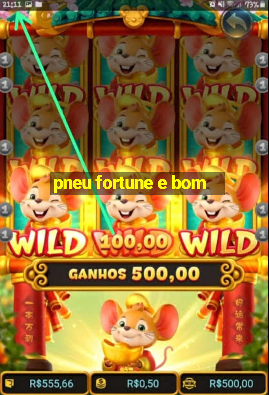 pneu fortune e bom